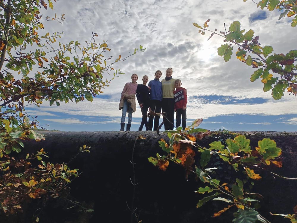 Stage nature Namur malonne